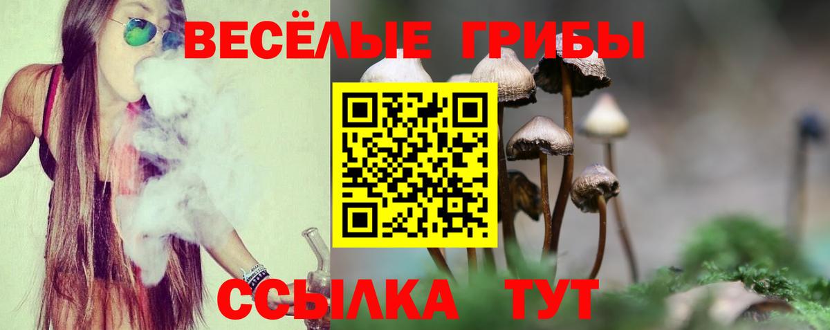 Псилоцибиновые грибы MAGIC MUSHROOMS  Вход с VPN  Ирбит 